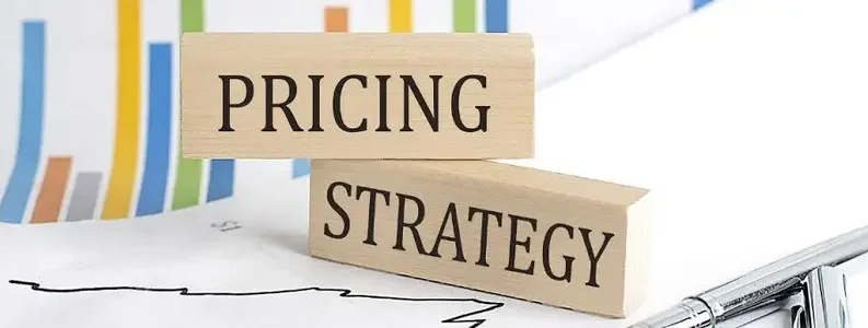 استراتژی قیمتگذاری مناسب، می تواند یک محصول را به موفقیت برساند یا باعث شکست آن بشود